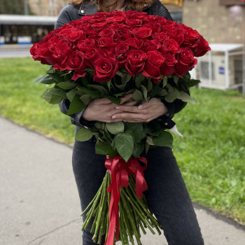 101 красная роза Эквадор 80 см.